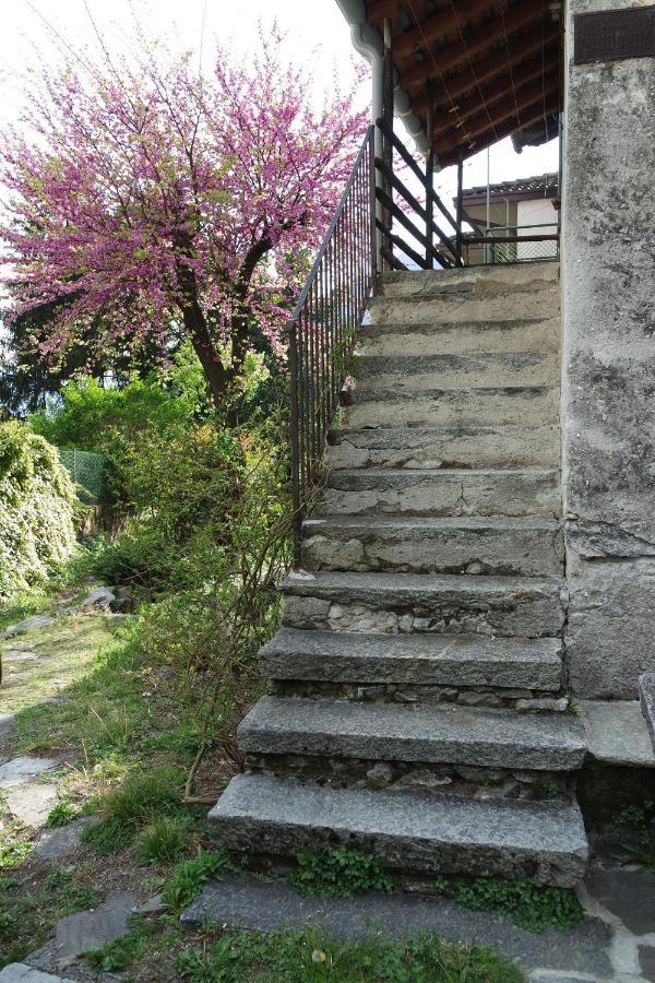 Novate Mezzola Ca Betulla 빌라 외부 사진